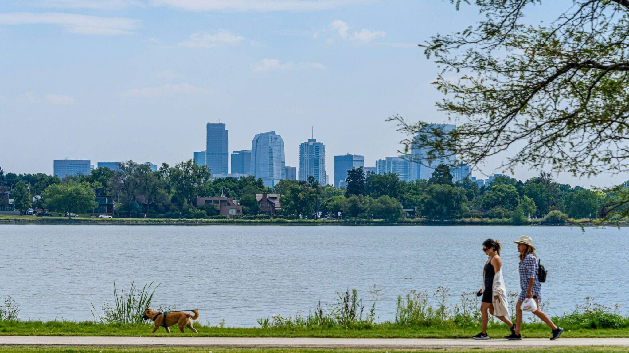 Edgewater Neighborhood